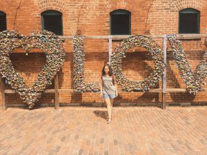 distillery District edensstories