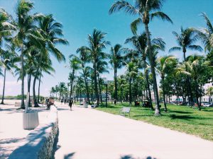 edensstories_miamibeach_